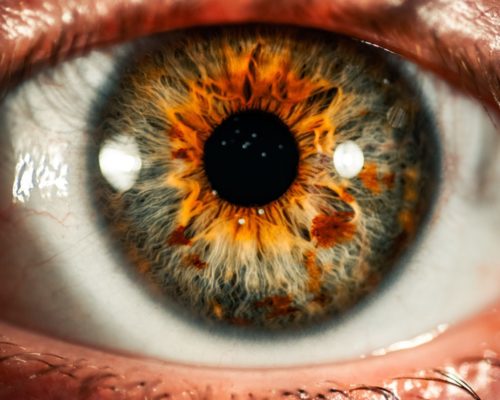 3.Optometria_comportamental