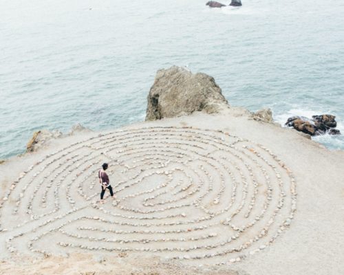 8.Biodescodificació